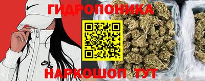 СК Донской