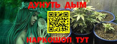 молекула духа Донецк