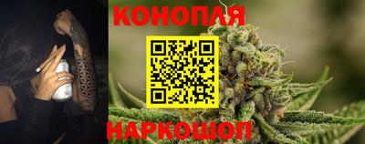СК Дубна