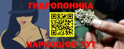 СК Донской