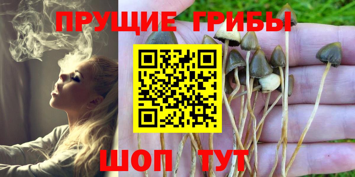 Кыштым  Псилоцибиновые грибы мухоморы  Вход с VPN 